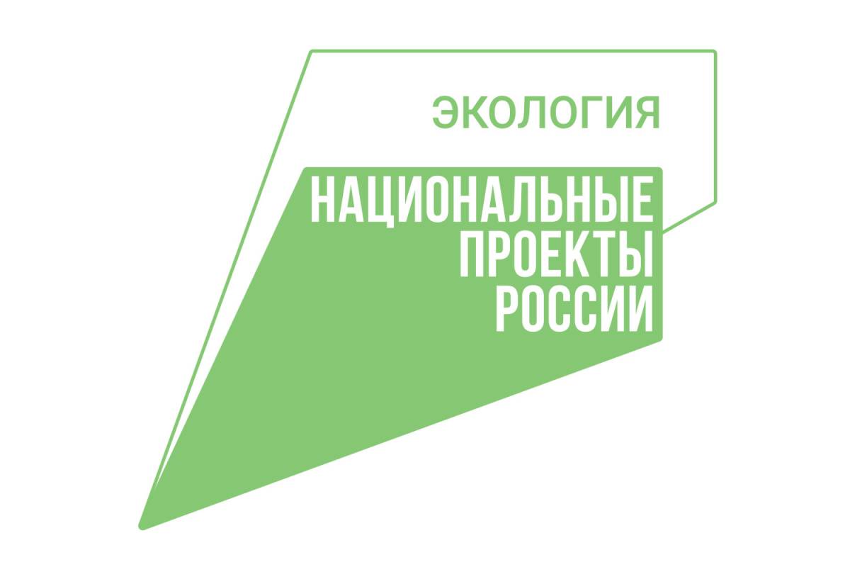 В лесах Вологодчины установился низкий класс пожарной опасности.