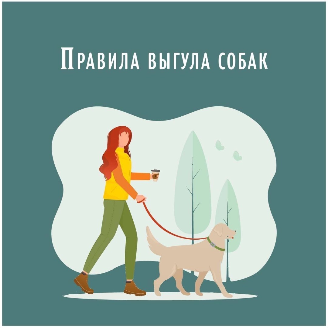 Правила выгула собак.