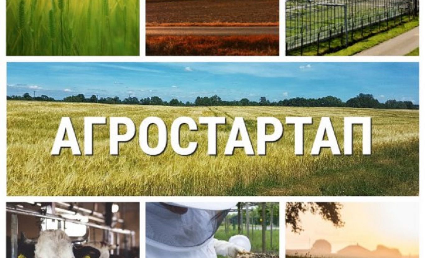 Около 30 фермеров региона открыли свое дело  благодаря гранту «Агростартап».