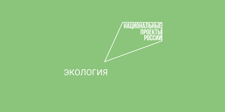 Основные итоги работы Министерства природных ресурсов и экологии области подвели в Правительстве области.