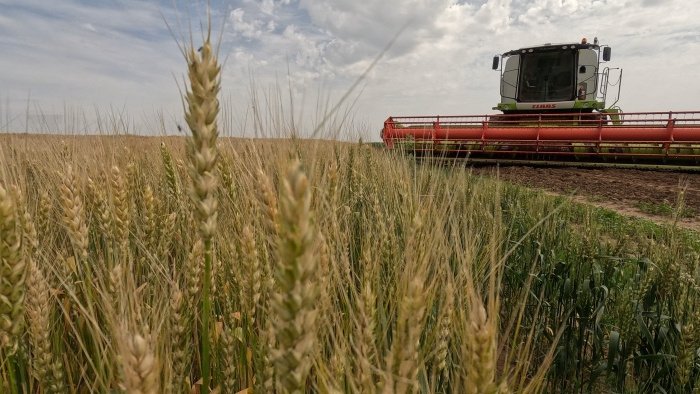 3,36 миллиарда рублей господдержки выдано аграриям Вологодской области с начала года .