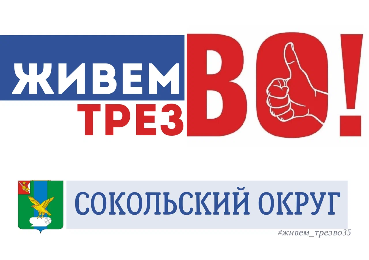 Проведи день трезвости правильно! Поддержи флешмоб «Живем трезВО. Вологодская область».