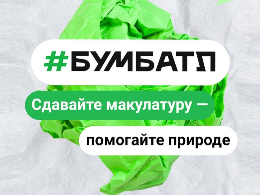 «БумБатл» помогает сохранить леса Вологодской области.