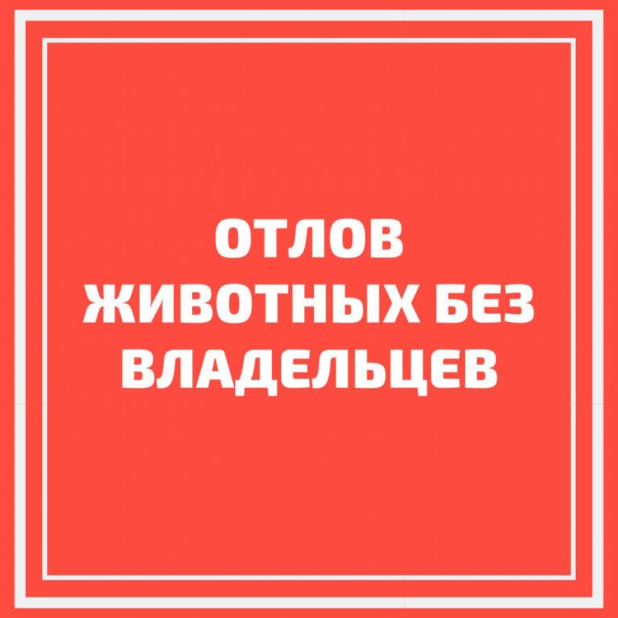 Уважаемые жители Сокольского округа,  Администрация Сокольского округа информирует.