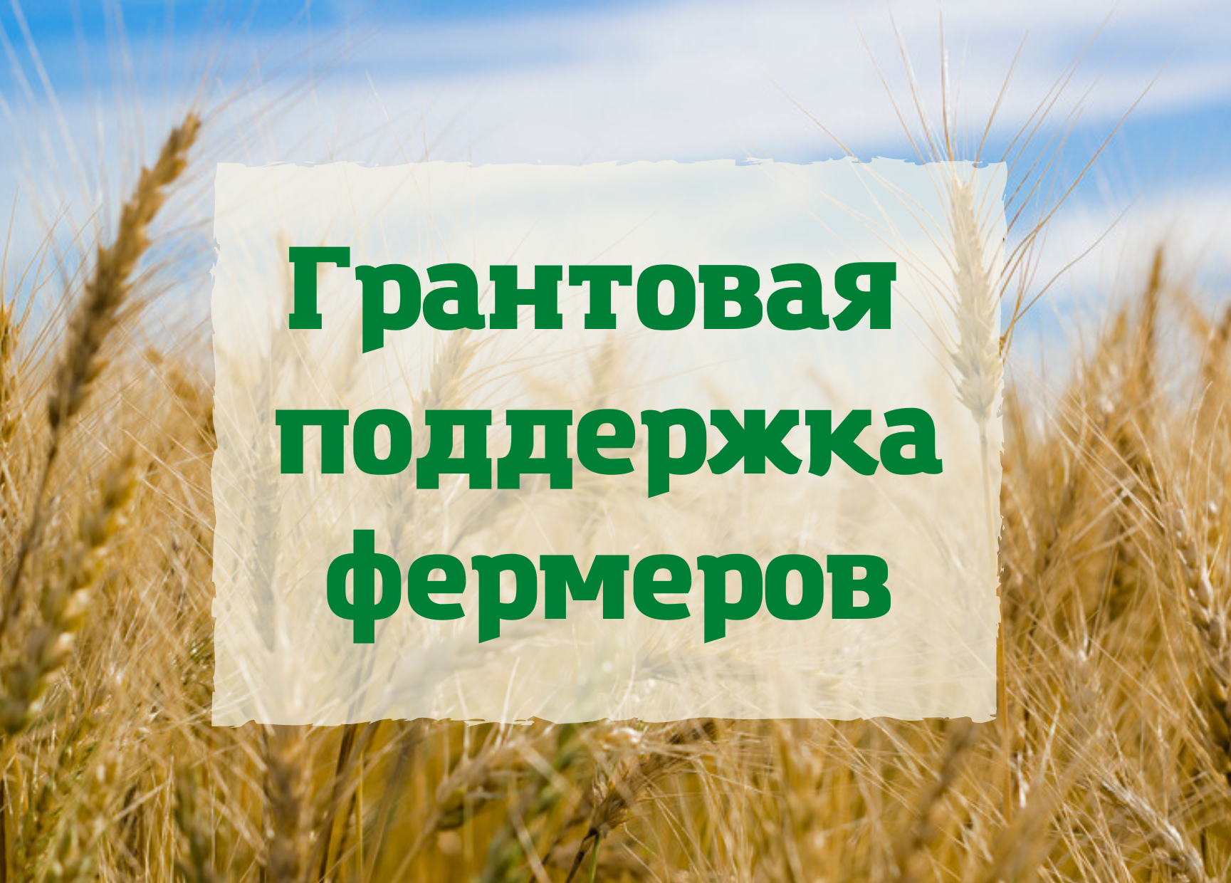 В Вологодской области можно подать документы для участия в грантовом конкурсе &quot;Агростартап&quot;.