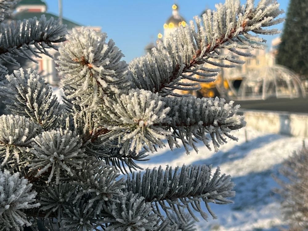 На Вологодчине до 8 января сохранится аномально холодная погода.