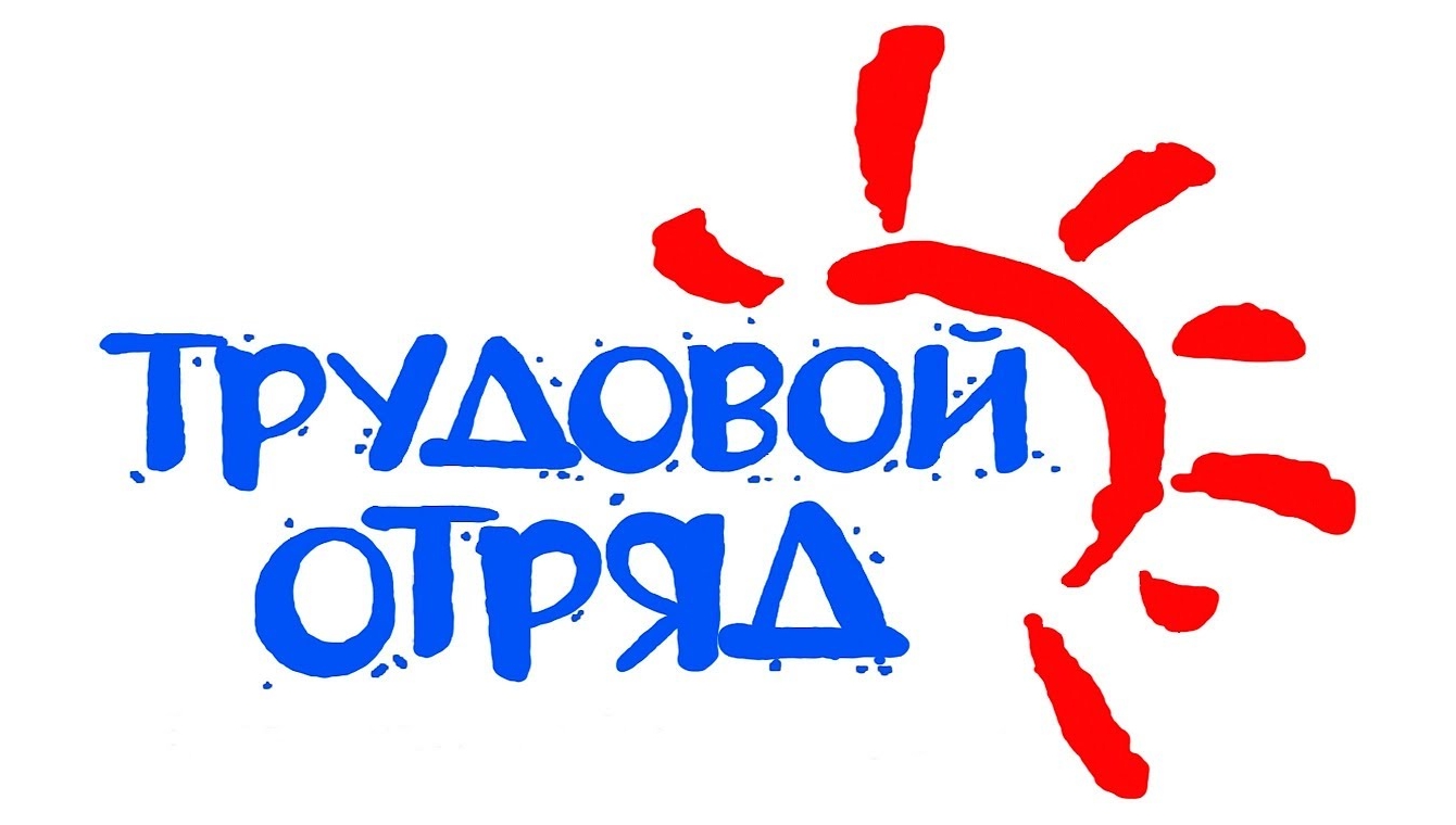 На Вологодчине стартовало голосование за «Лучший видеоролик в трудовом отряде».