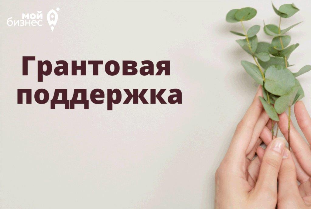 Молодые бизнесмены могут получить миллион рублей на развитие туристического дела.