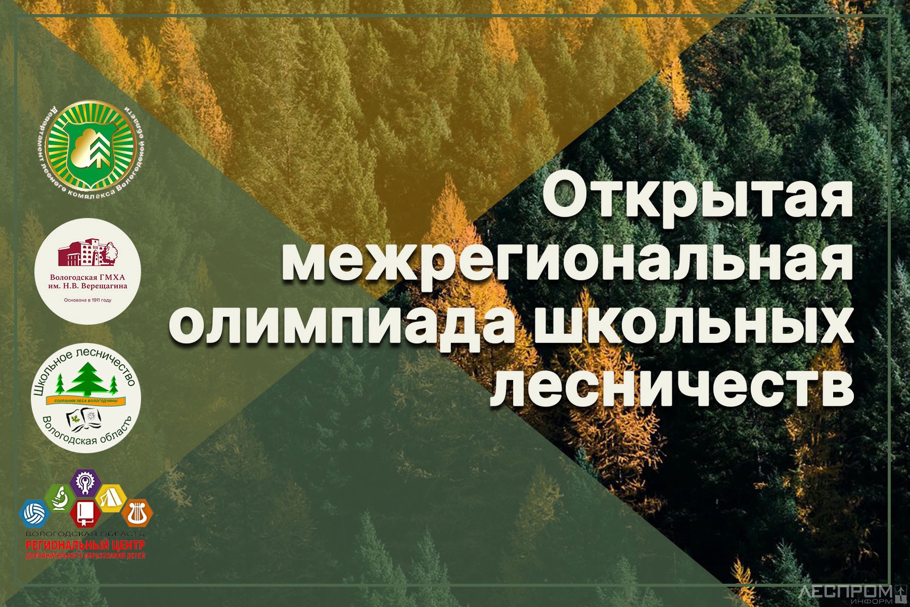 В Вологодской области стартовал прием заявок на межрегиональную олимпиаду школьных лесничеств и лесных классов.