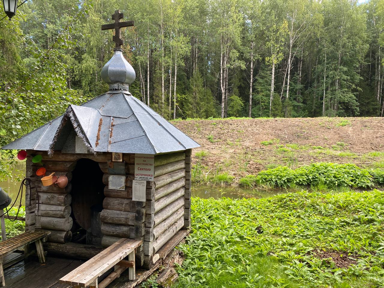 Акция «Сохраним лес» стартовала на Вологодчине.