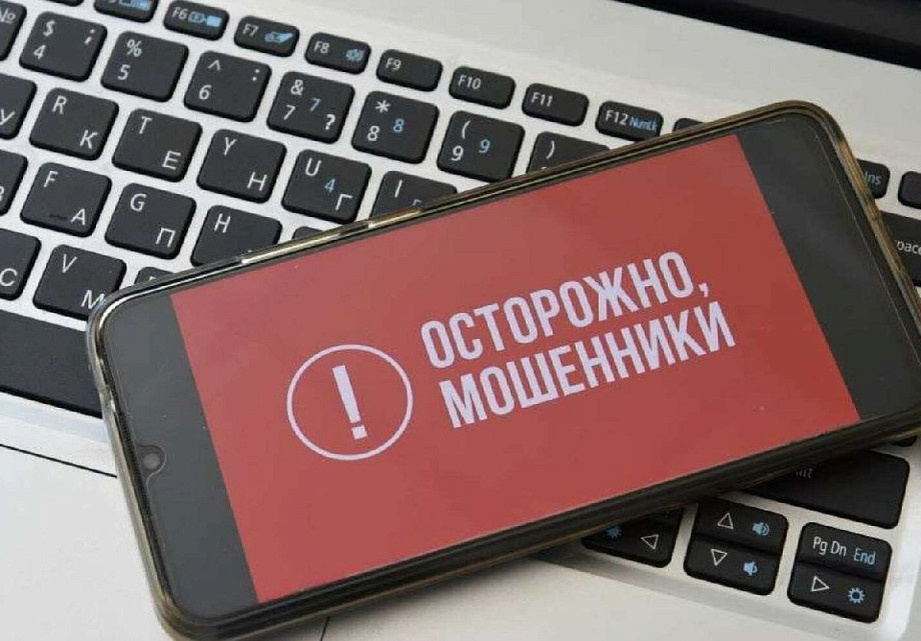 Юные вологжане стали чаще «попадаться» на уловки мошенников .