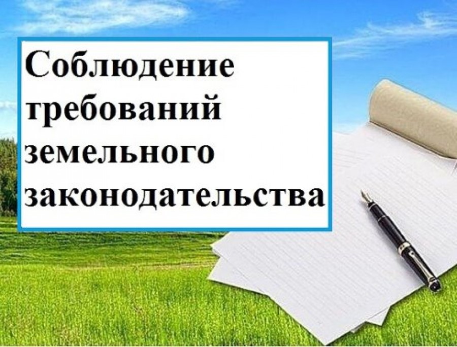 Администрация Сокольского муниципального округа информирует о последствиях самовольного занятия земельных участков.