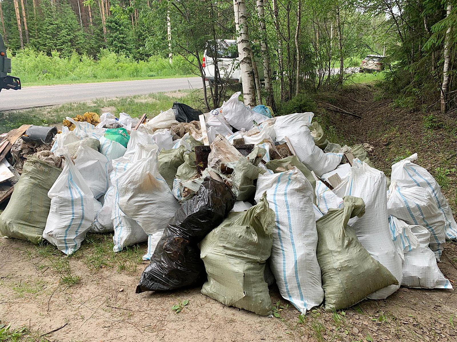 76 несанкционированных свалок ликвидированы в 2024 году на землях лесного фонда Вологодчины.