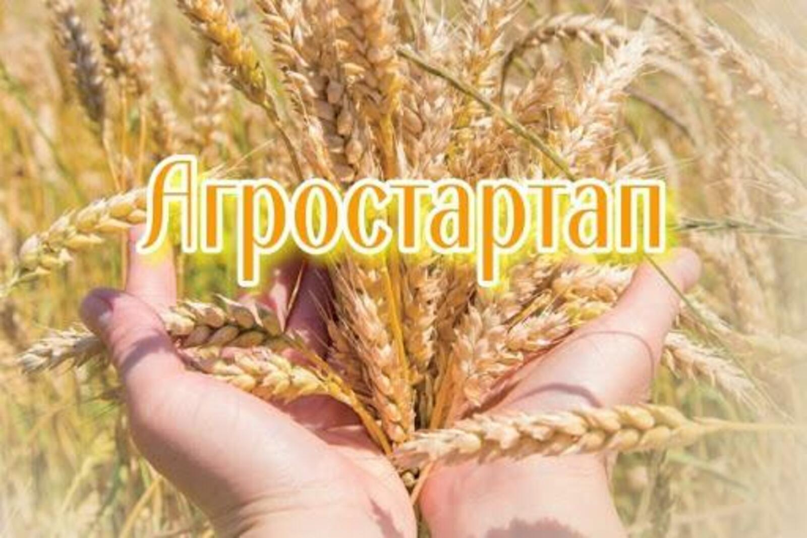 Грант «Агростартап» получат семь фермеров из шести муниципалитетов Вологодской области.