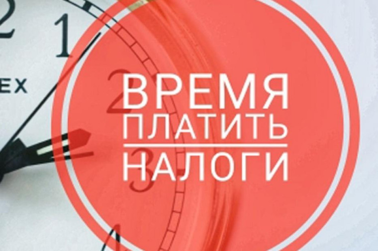 Проведите лето без долгов по налогам. Проведите лето без долгов по налогам.
