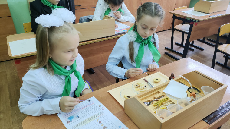 В школах Вологодской области откроют агроклассы и лесные классы. В школах Вологодской области откроют агроклассы и лесные классы.