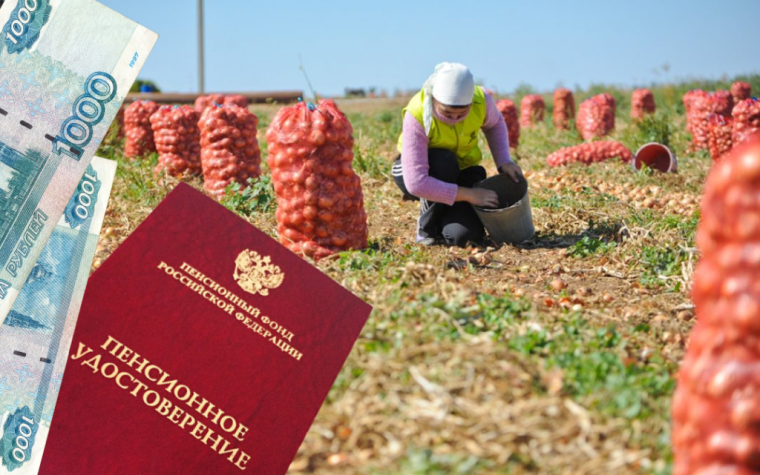 Более 7,5 тысяч вологжан получают доплату к пенсии за работу в сельском хозяйстве . Более 7,5 тысяч вологжан получают доплату к пенсии за работу в сельском хозяйстве .