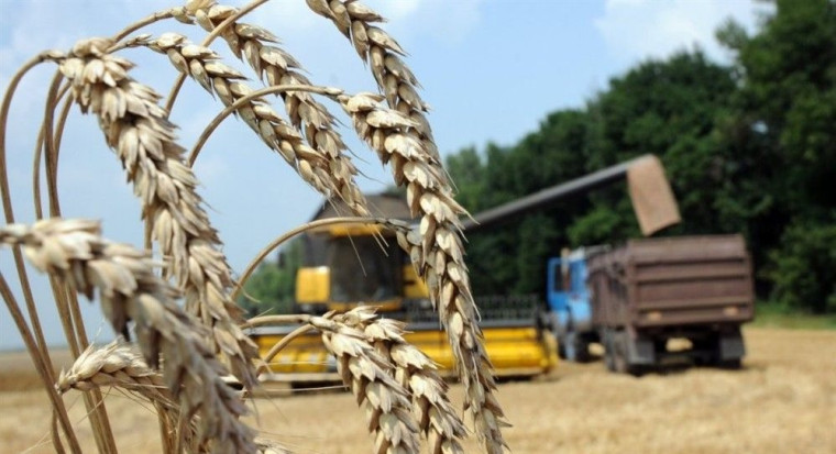 С начала 2024 года Вологодская область направила на экспорт 5 тысяч тонн продукции АПК. С начала 2024 года Вологодская область направила на экспорт 5 тысяч тонн продукции АПК.