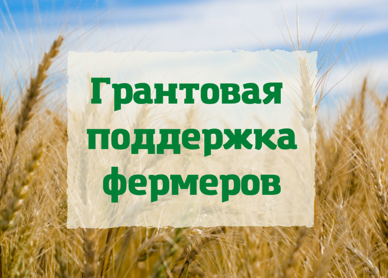 В Вологодской области можно подать документы для участия в грантовом конкурсе "Агростартап". В Вологодской области можно подать документы для участия в грантовом конкурсе "Агростартап".