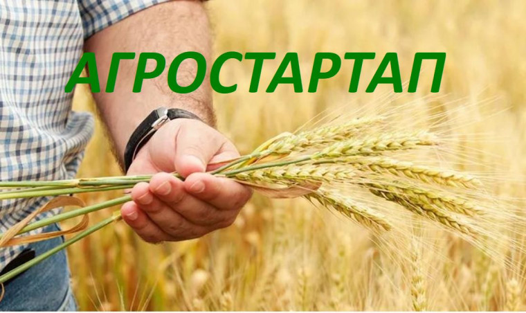 В Вологодской области определили победителей конкурса на получение гранта «Агростартап». В Вологодской области определили победителей конкурса на получение гранта «Агростартап».