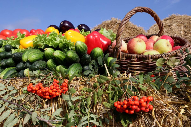 В Вологде впервые пройдет всероссийский фестиваль фермерской продукции СВОЁ. В Вологде впервые пройдет всероссийский фестиваль фермерской продукции СВОЁ.