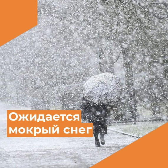 Погода преподнесёт вологжанам очередной сюрприз. Погода преподнесёт вологжанам очередной сюрприз.