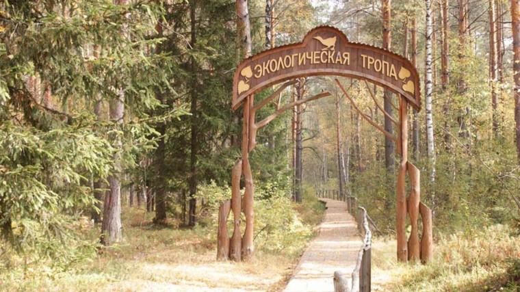 11 экотроп и 15 площадных объектов появятся в национальном парке «Русский Север» до 2030 года. 11 экотроп и 15 площадных объектов появятся в национальном парке «Русский Север» до 2030 года.