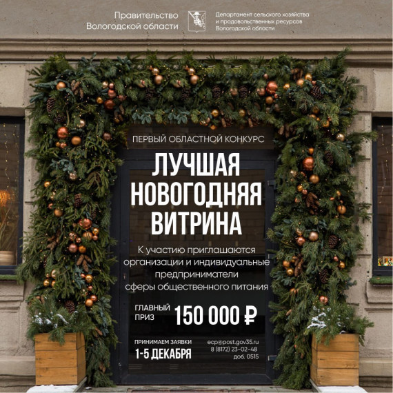 Самую праздничную новогоднюю витрину выберут в преддверии Нового года на Вологодчине. Самую праздничную новогоднюю витрину выберут в преддверии Нового года на Вологодчине.
