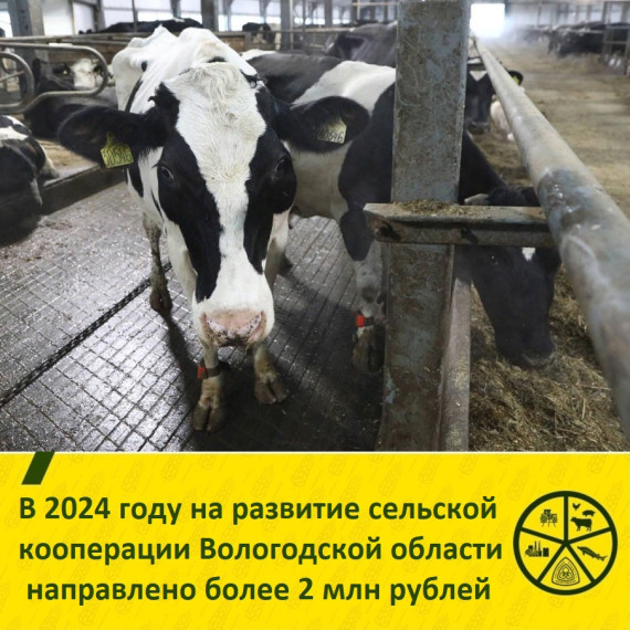 Вологодским сельхозтоваропроизводителям оказывают господдержку на развитие сельской кооперации. Вологодским сельхозтоваропроизводителям оказывают господдержку на развитие сельской кооперации.